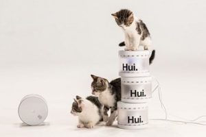 Hui 1 Min