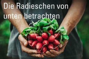 Radieschen Von Unten Betrachten