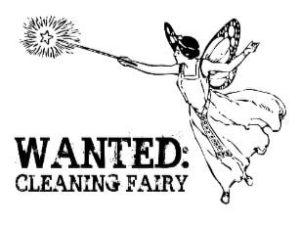 Cleaning Fairy